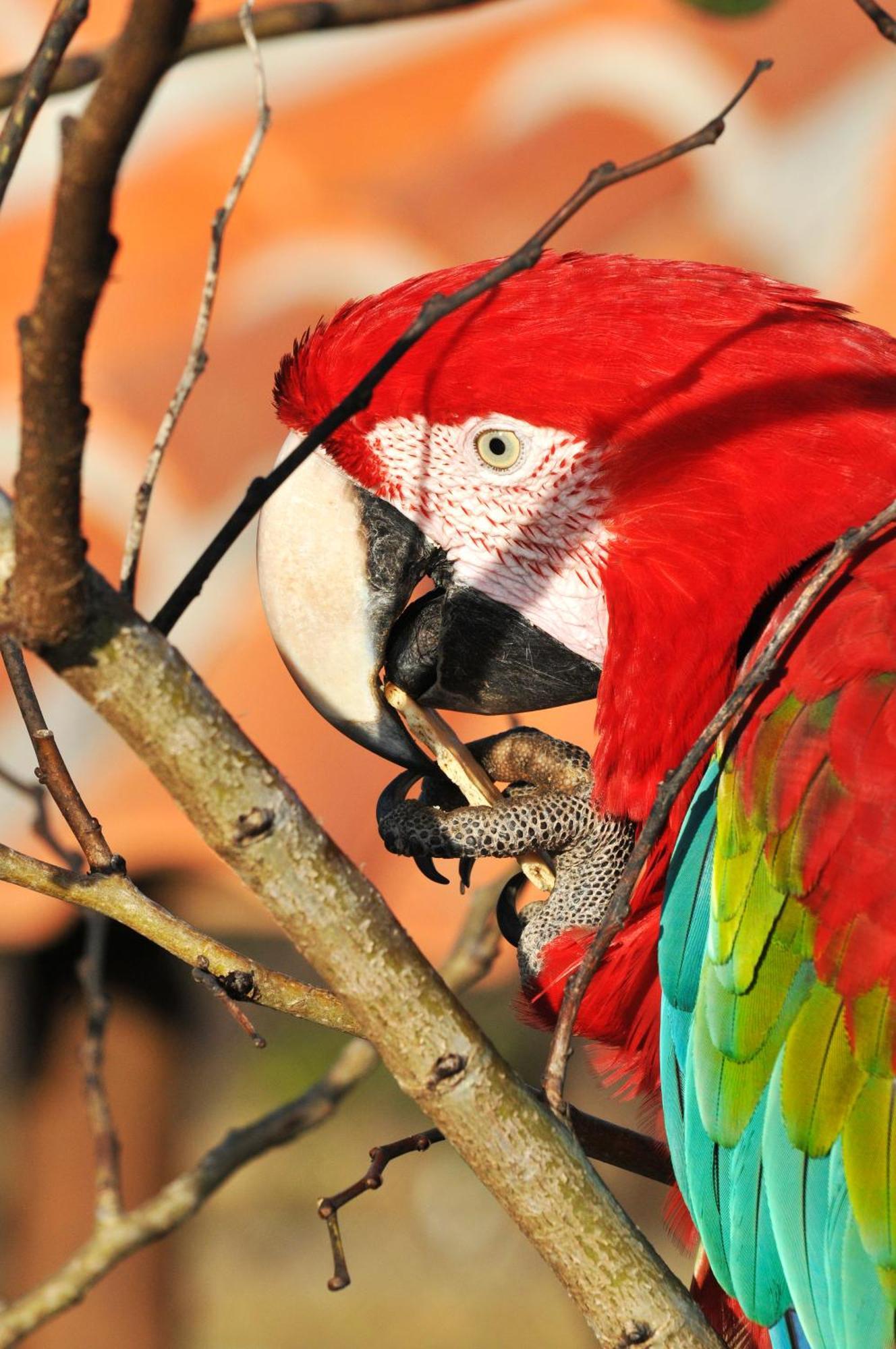 Pousada Fazenda Santa Fe Bezerros Exteriér fotografie