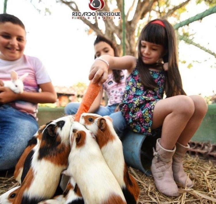 Pousada Fazenda Santa Fe Bezerros Exteriér fotografie